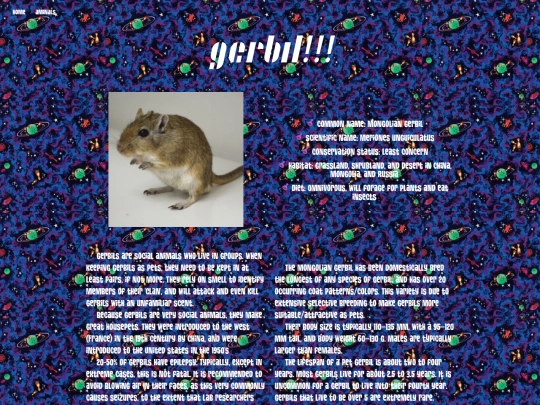 pages/aminals/gerbil screenshot