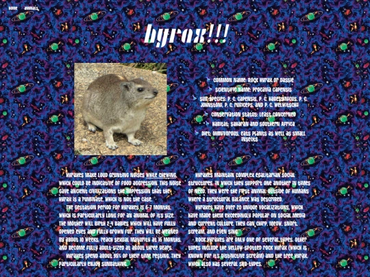 pages/aminals/hyrax screenshot