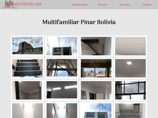 proyectos/pinar_bolivia screenshot