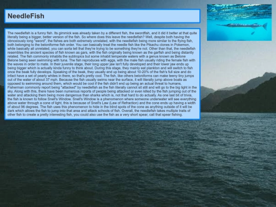 NeedleFish/NeedleFish screenshot