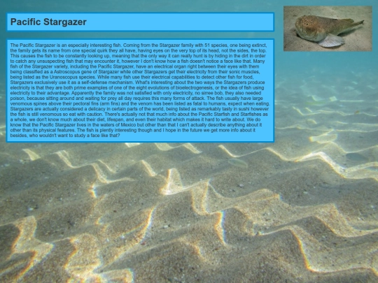 PacificStargazer/StarGazer screenshot