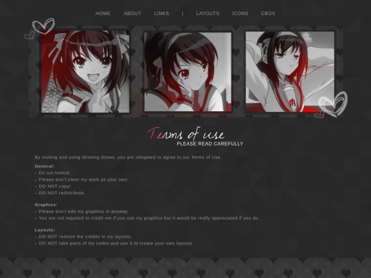 terms screenshot