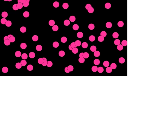 game/step2 screenshot