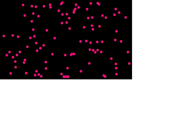 game/step3 screenshot