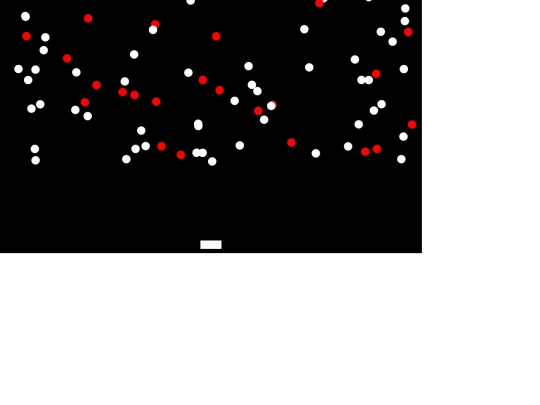 game/step5 screenshot