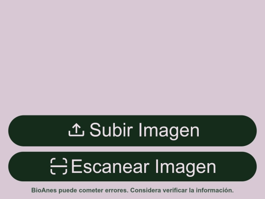 BioAnes/BioAnesRecycle screenshot