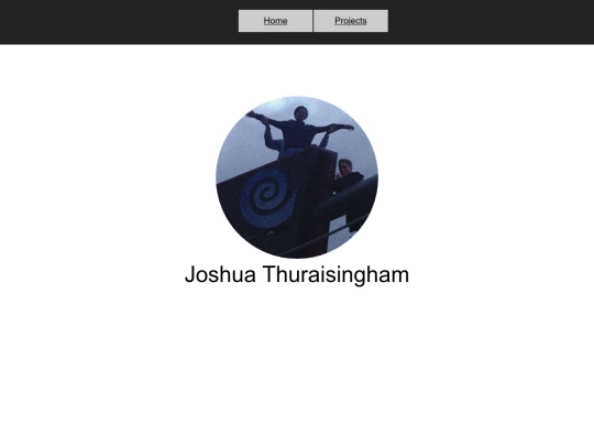 Projects screenshot