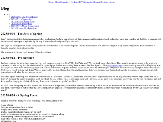 blog screenshot