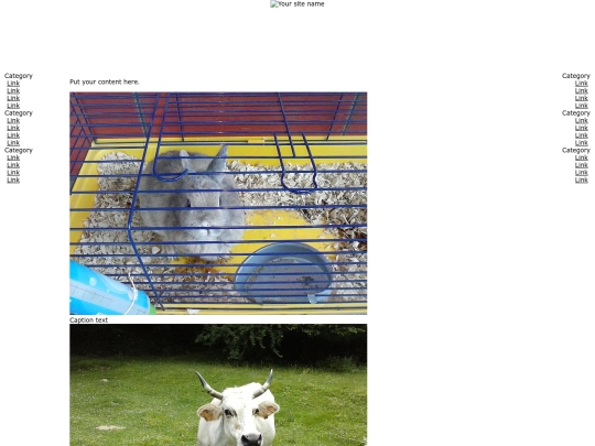 newpage screenshot