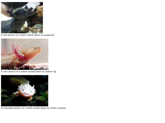 hbcopyrightphotoprojo screenshot