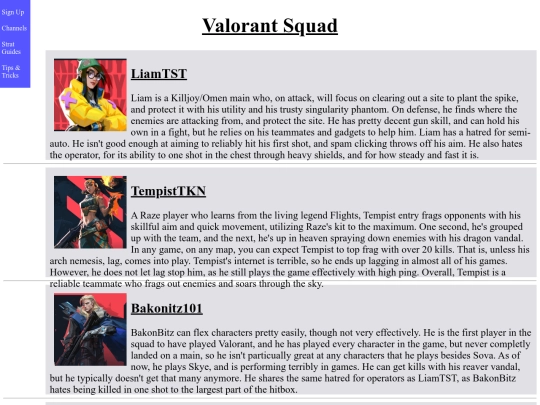 teampage screenshot