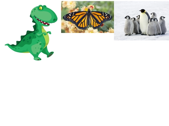 test screenshot