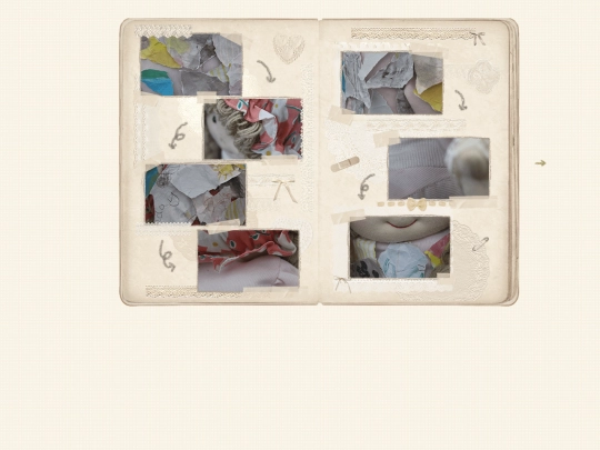 journal screenshot
