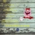 The web site of lyfe-iz-a-party avatar