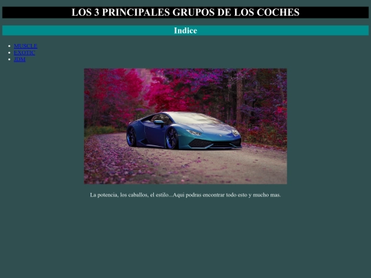 cars/inicio screenshot