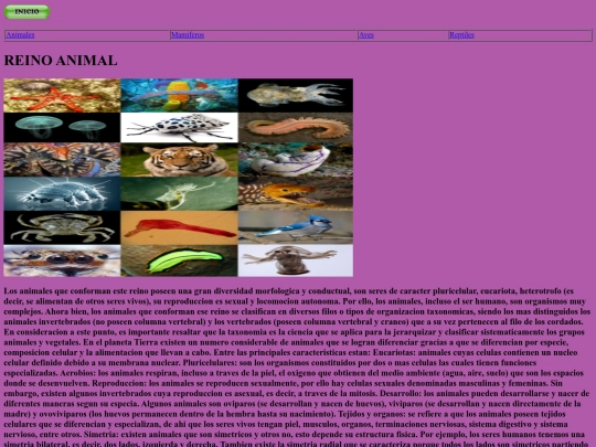 miweb screenshot