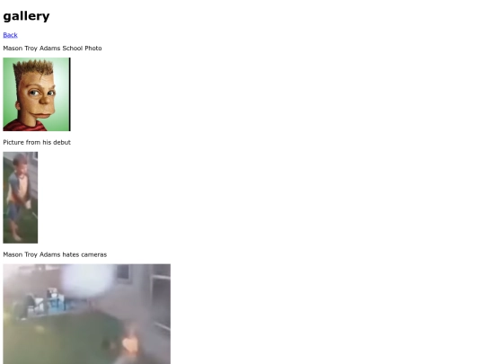 gallery screenshot