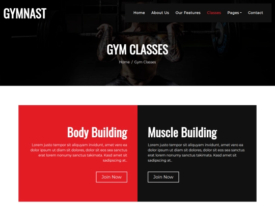 geocities/Colosseum/gym/class screenshot