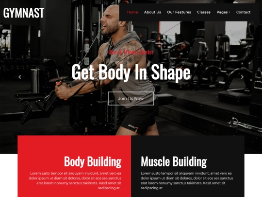 geocities/Colosseum/gym screenshot