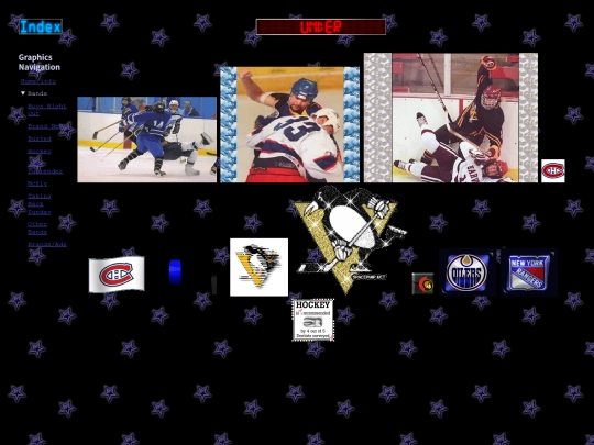 graphics/hockey screenshot