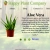 
			Happy Plant Company
		 avatar