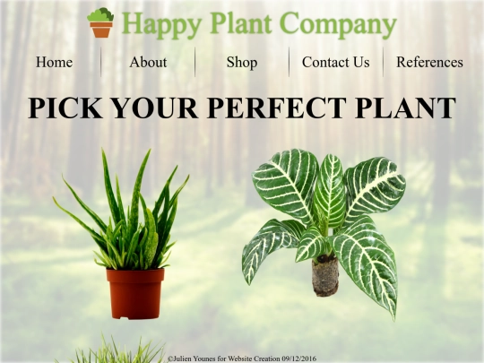 shop screenshot