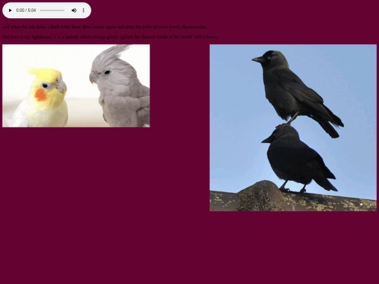 adoration screenshot