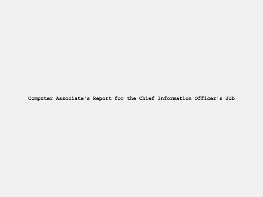 Chief Information Officer/Title screenshot
