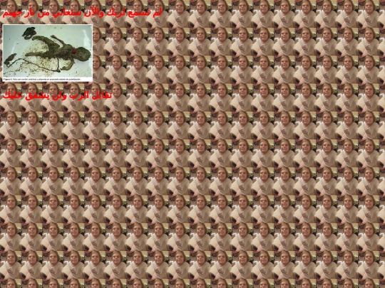 1 screenshot