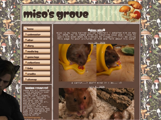 miso screenshot