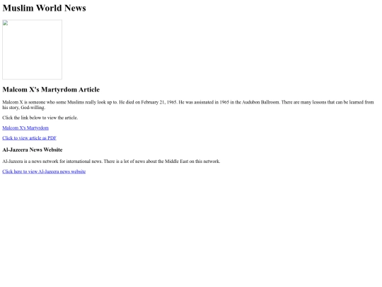 newshub screenshot