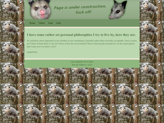 blog/values screenshot