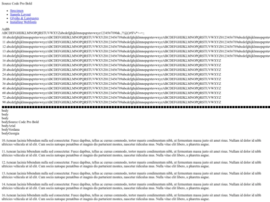 image/sourcecodepro-bold-demo screenshot