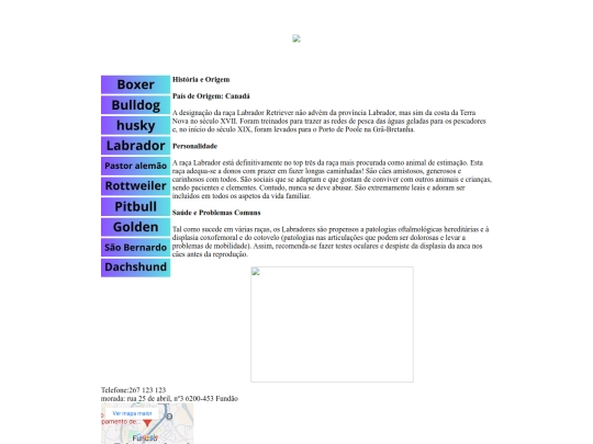 labrador screenshot