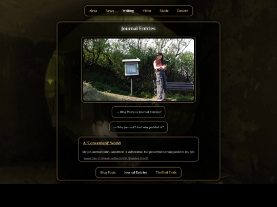 journal/entries screenshot
