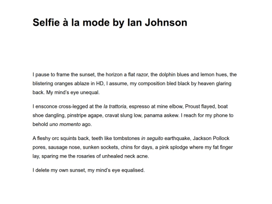 selfie-a-la-mode-by-ian-johnson screenshot