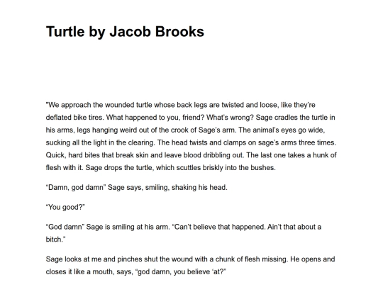 turtle-by-jacob-brooks screenshot