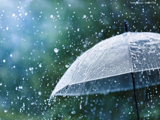 rain screenshot