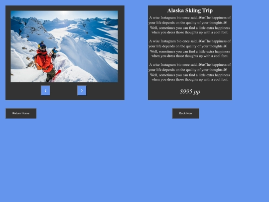 skiing screenshot