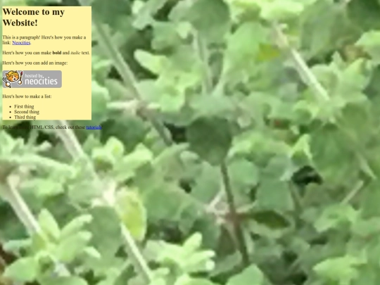 index screenshot