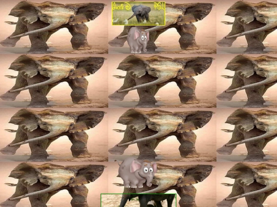 Animals/000BabyElephant screenshot