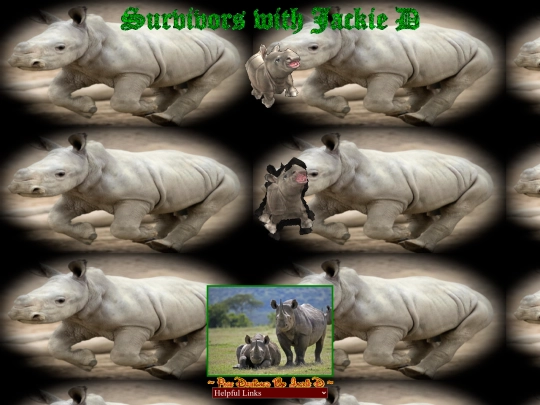 Animals/000BabyRhino screenshot