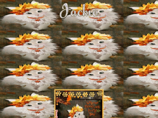 Autumn/000Nov13SUVKittenHeadbndSurv screenshot