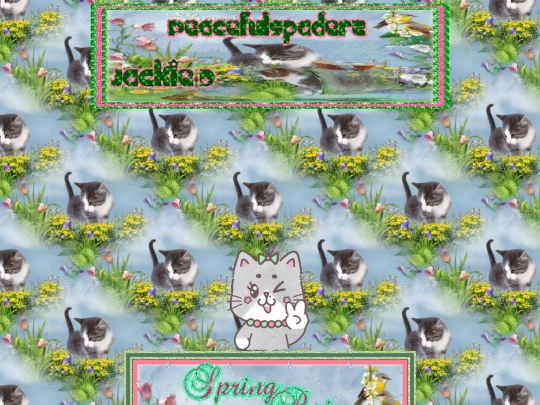 Cats/000SpringRain screenshot