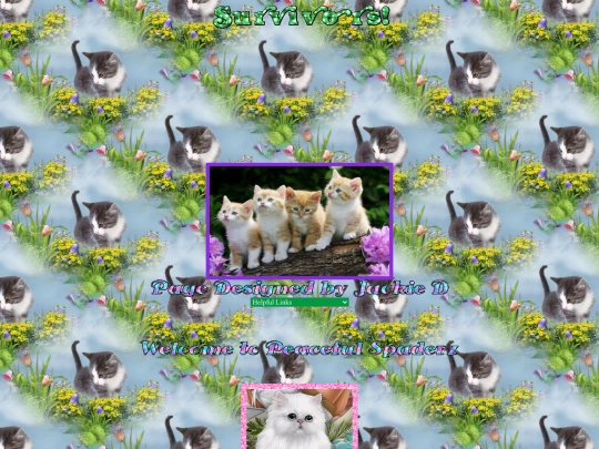 Cats/000SurvKittens screenshot