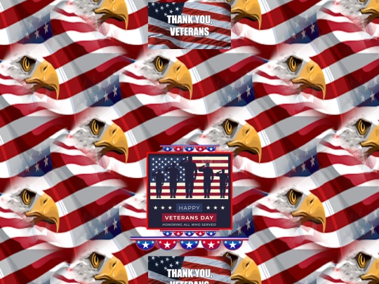 Patriotic Holidays/VetsDayRandy screenshot