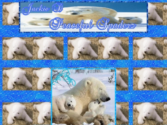 Saturday /000nsJan24PolarBearnCubs screenshot