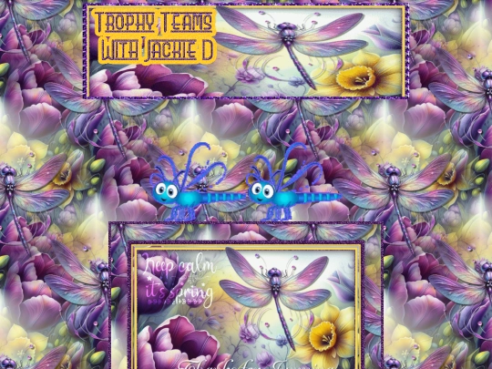 Spring/00000Mar24TTMSDragonflyTMS screenshot