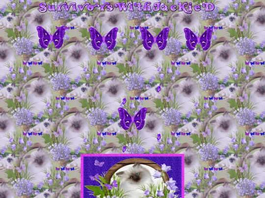Spring/000May5SUVPrplKittensSUV screenshot