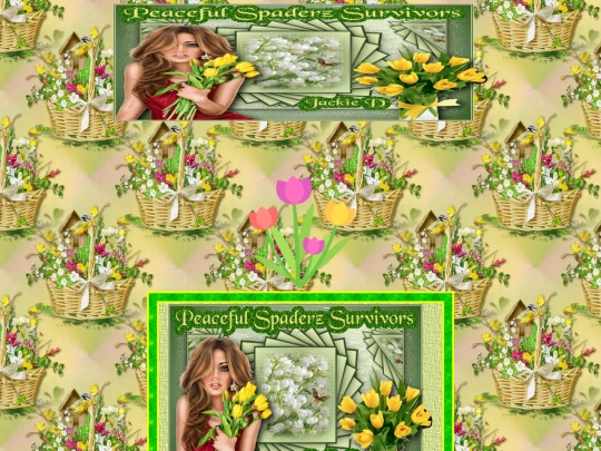Spring/000Mayz14SUVTulipTimeTMS screenshot
